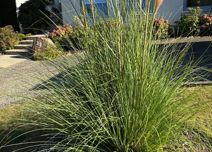 Apartman -diemelaue-